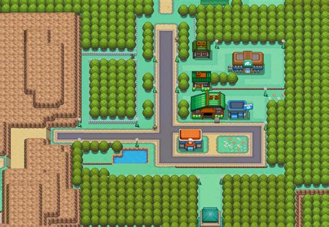 pokemon city|pokemon viridian city.